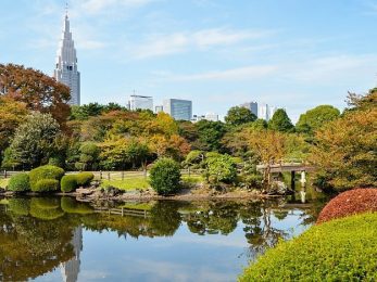 新宿御苑の写真