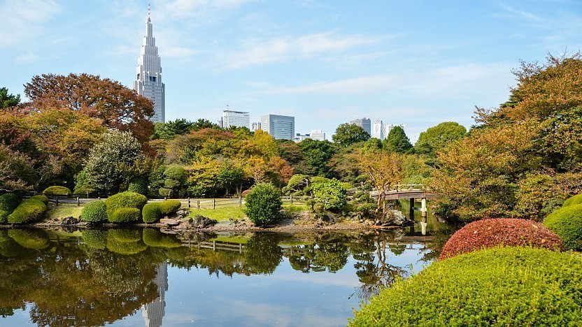 新宿御苑の写真